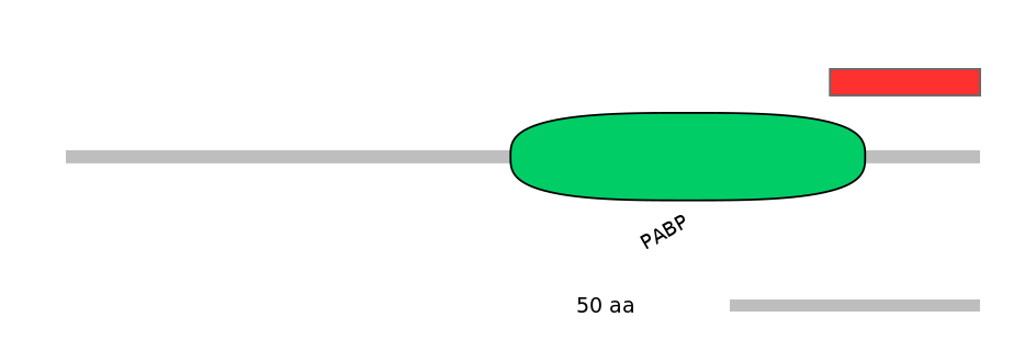 HsaINT1026012-INC
