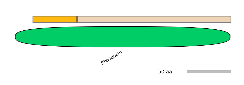 HsaINT1026380-EXC