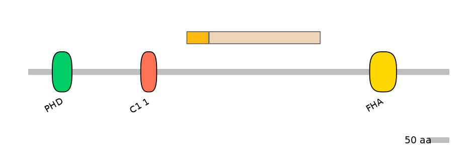 HsaINT1026788-EXC