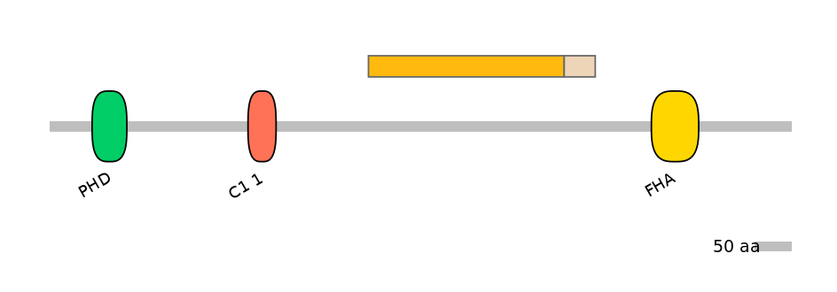 HsaINT1026789-EXC