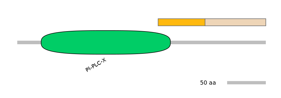 HsaINT1027311-EXC