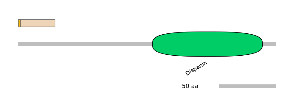 HsaINT1028179-EXC