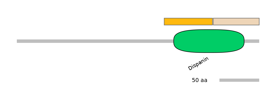 HsaINT1028182-EXC