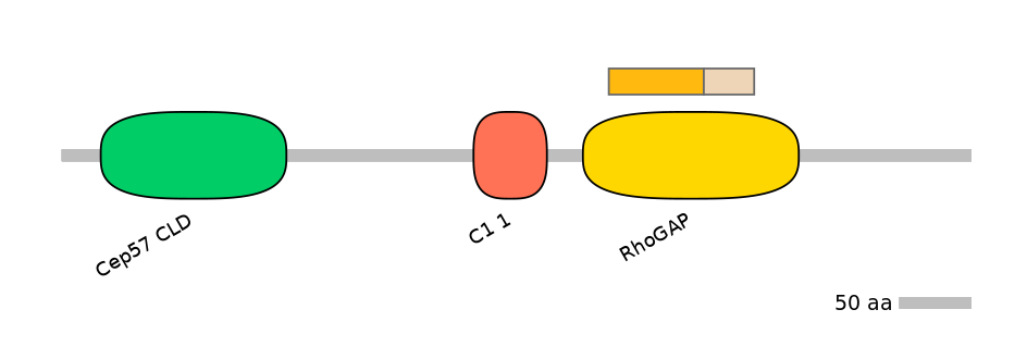 HsaINT1028739-EXC