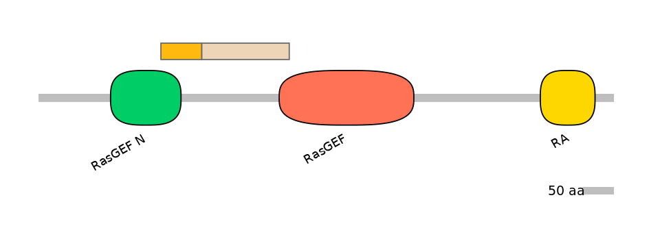 HsaINT1028822-EXC