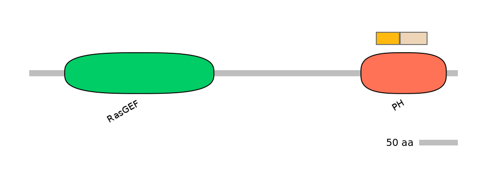 HsaINT1028828-EXC