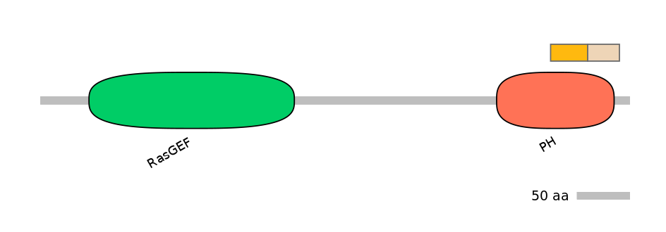 HsaINT1028829-EXC