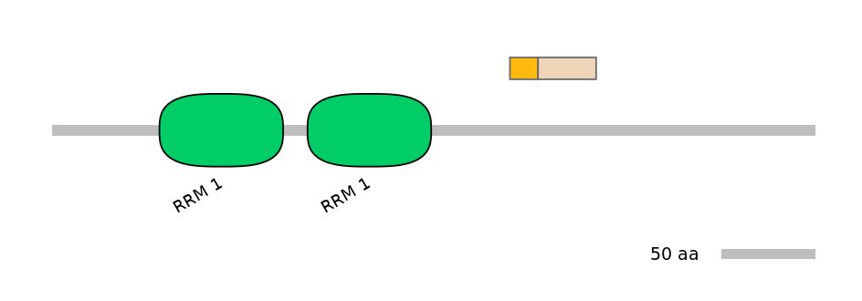 HsaINT1029010-EXC