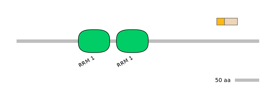 HsaINT1029012-EXC