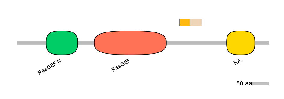 HsaINT1029211-EXC