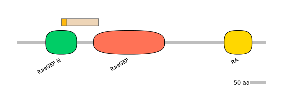 HsaINT1029218-EXC