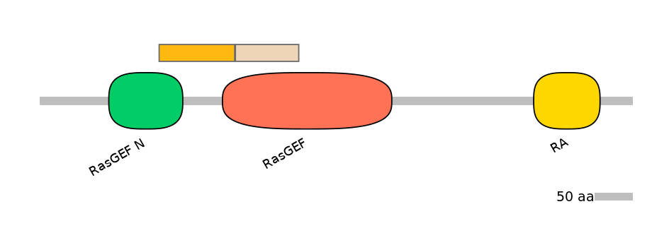 HsaINT1029219-EXC
