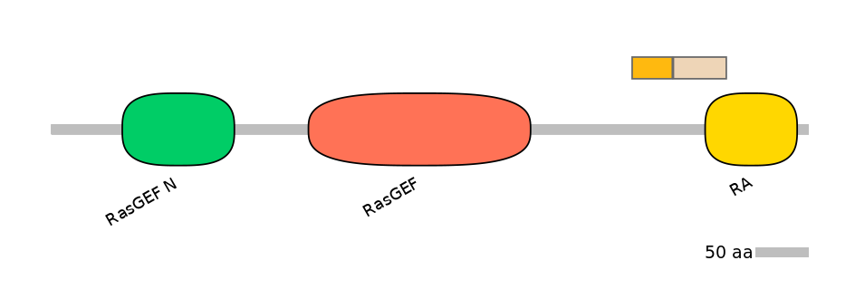 HsaINT1029223-EXC