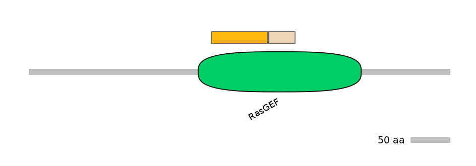 HsaINT1029229-EXC
