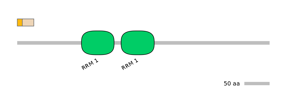 HsaINT1039126-EXC