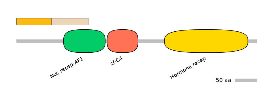HsaINT1040775-EXC