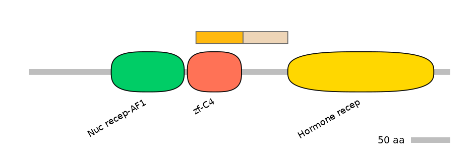 HsaINT1040778-EXC