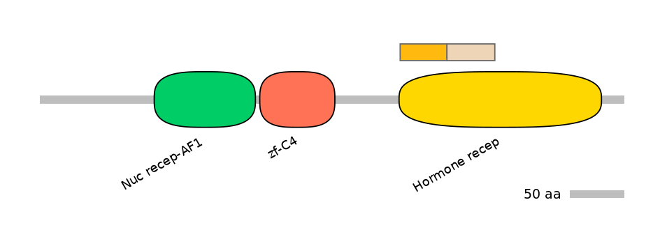HsaINT1040780-EXC