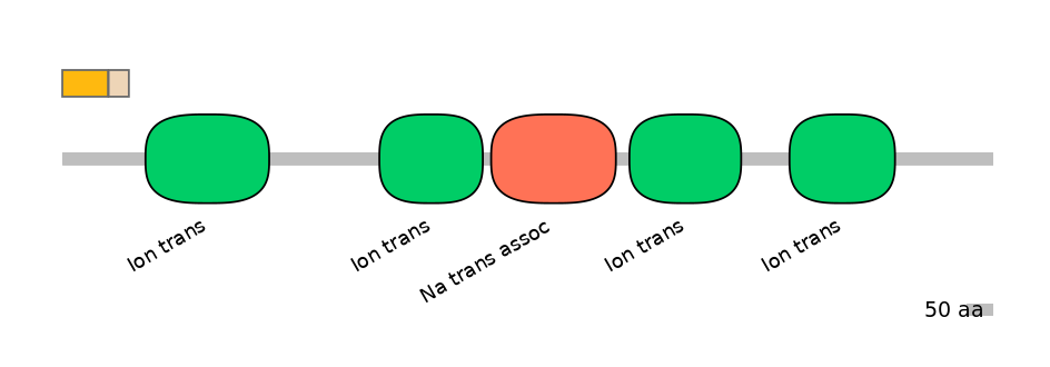 HsaINT1040996-EXC
