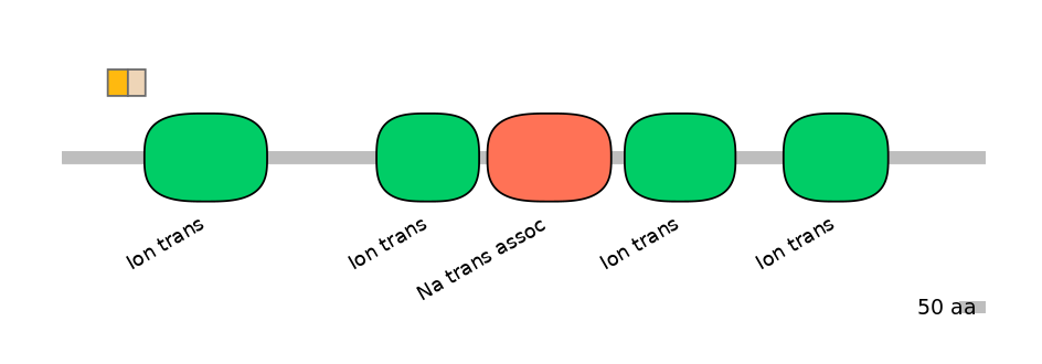 HsaINT1041007-EXC