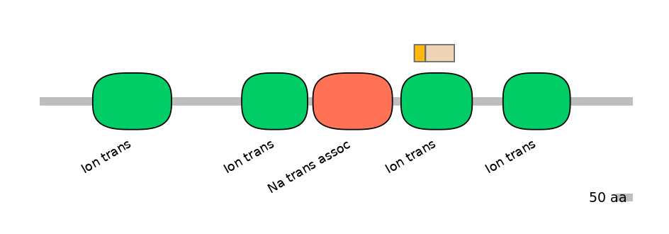 HsaINT1041008-EXC