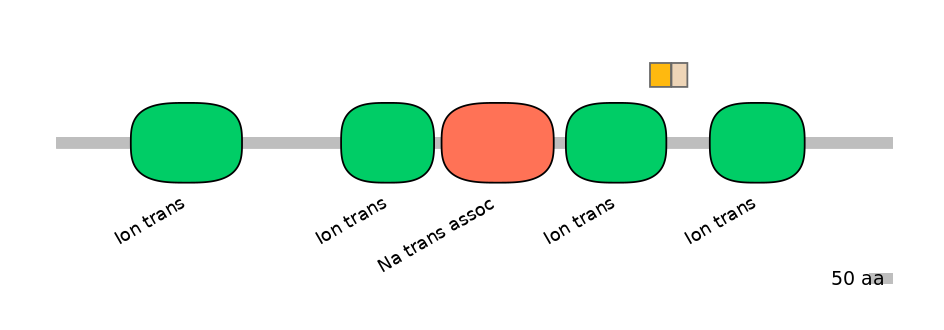 HsaINT1041010-EXC