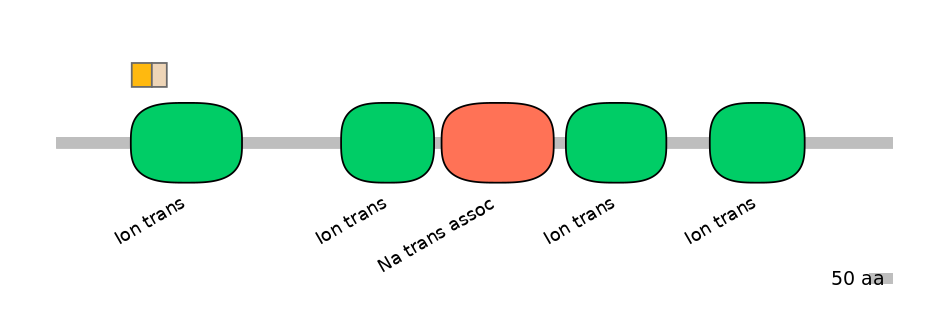 HsaINT1041013-EXC