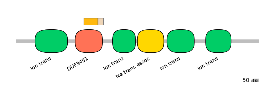 HsaINT1041026-EXC