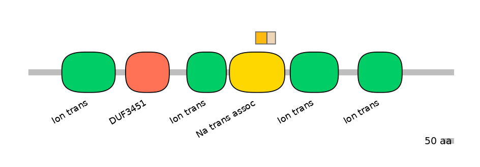 HsaINT1041032-EXC