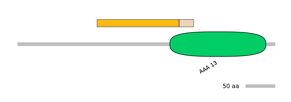 HsaINT1041087-EXC