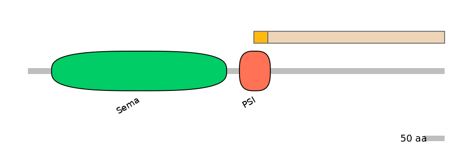 HsaINT1041229-EXC
