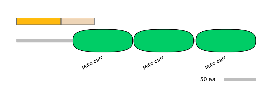 HsaINT1041879-EXC