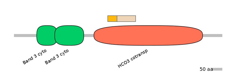 HsaINT1042116-EXC