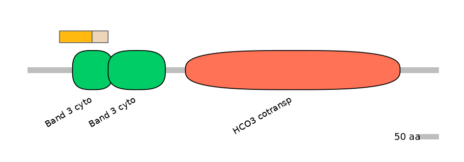 HsaINT1042118-EXC