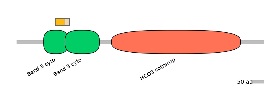 HsaINT1042120-EXC
