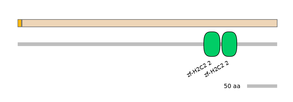 HsaINT1042695-EXC