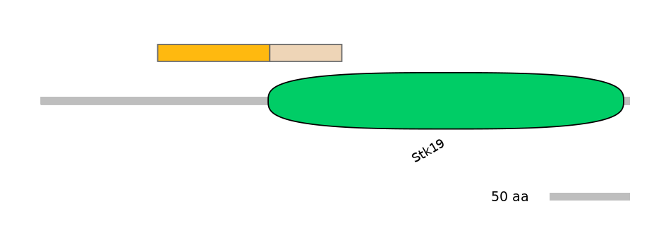 HsaINT1043192-EXC