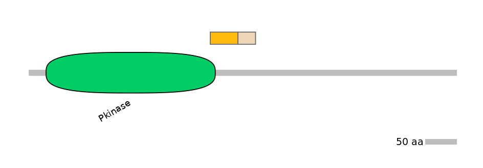 HsaINT1043212-EXC