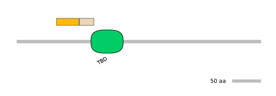 HsaINT1043662-EXC
