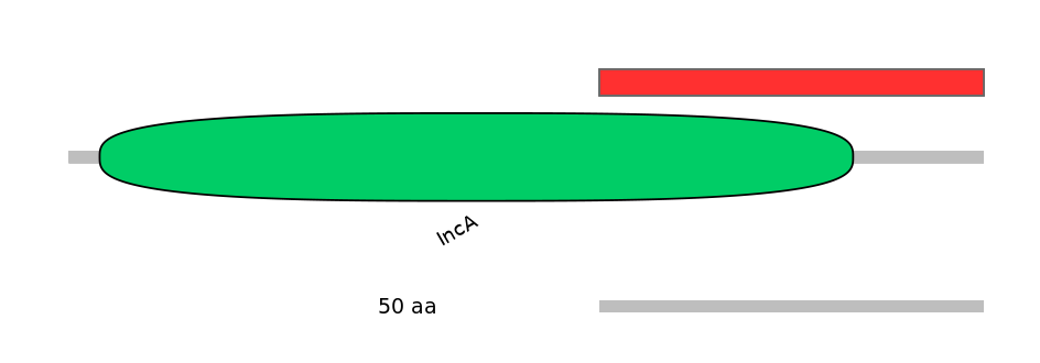 HsaINT1043662-INC