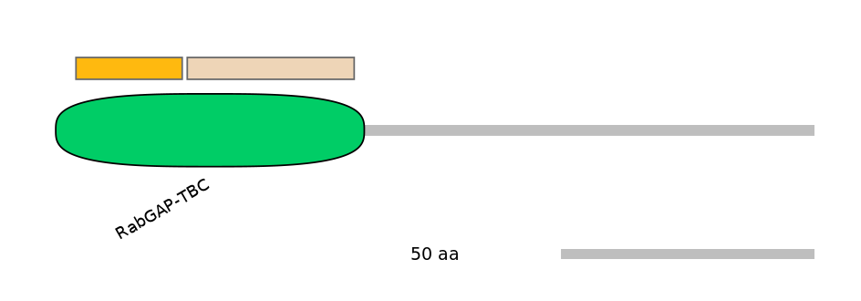 HsaINT1043734-EXC
