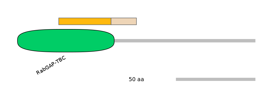 HsaINT1043735-EXC