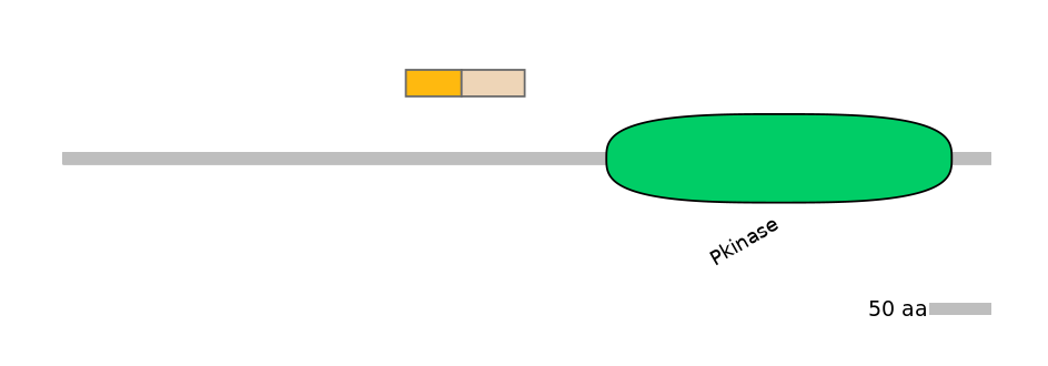 HsaINT1044301-EXC
