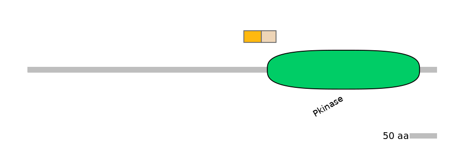 HsaINT1044303-EXC