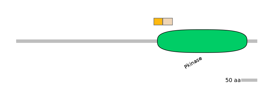 HsaINT1044304-EXC