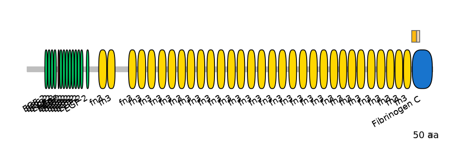 HsaINT1044856-EXC