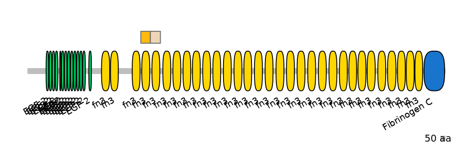 HsaINT1044864-EXC