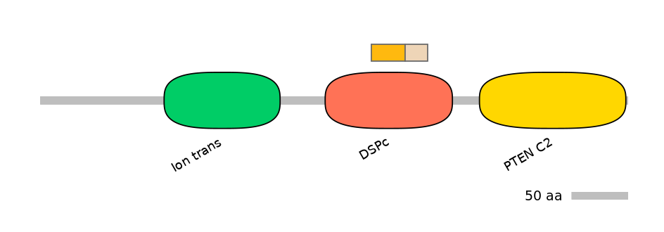 HsaINT1045008-EXC