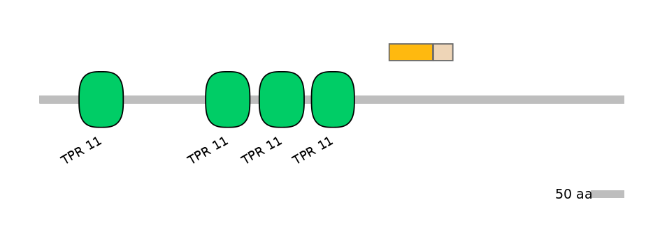 HsaINT1045491-EXC