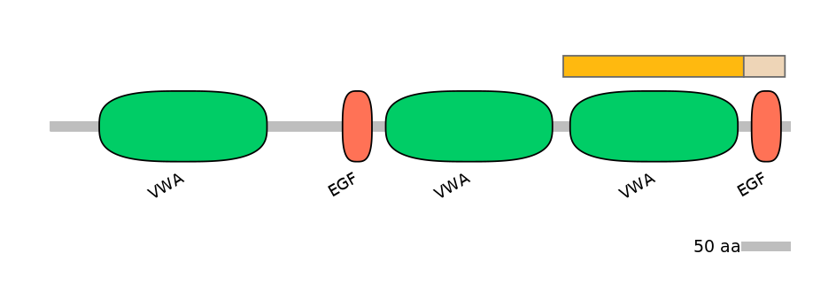 HsaINT1046448-EXC